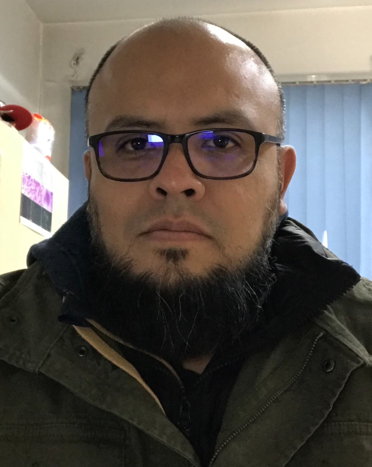 [Collaborator Name]
