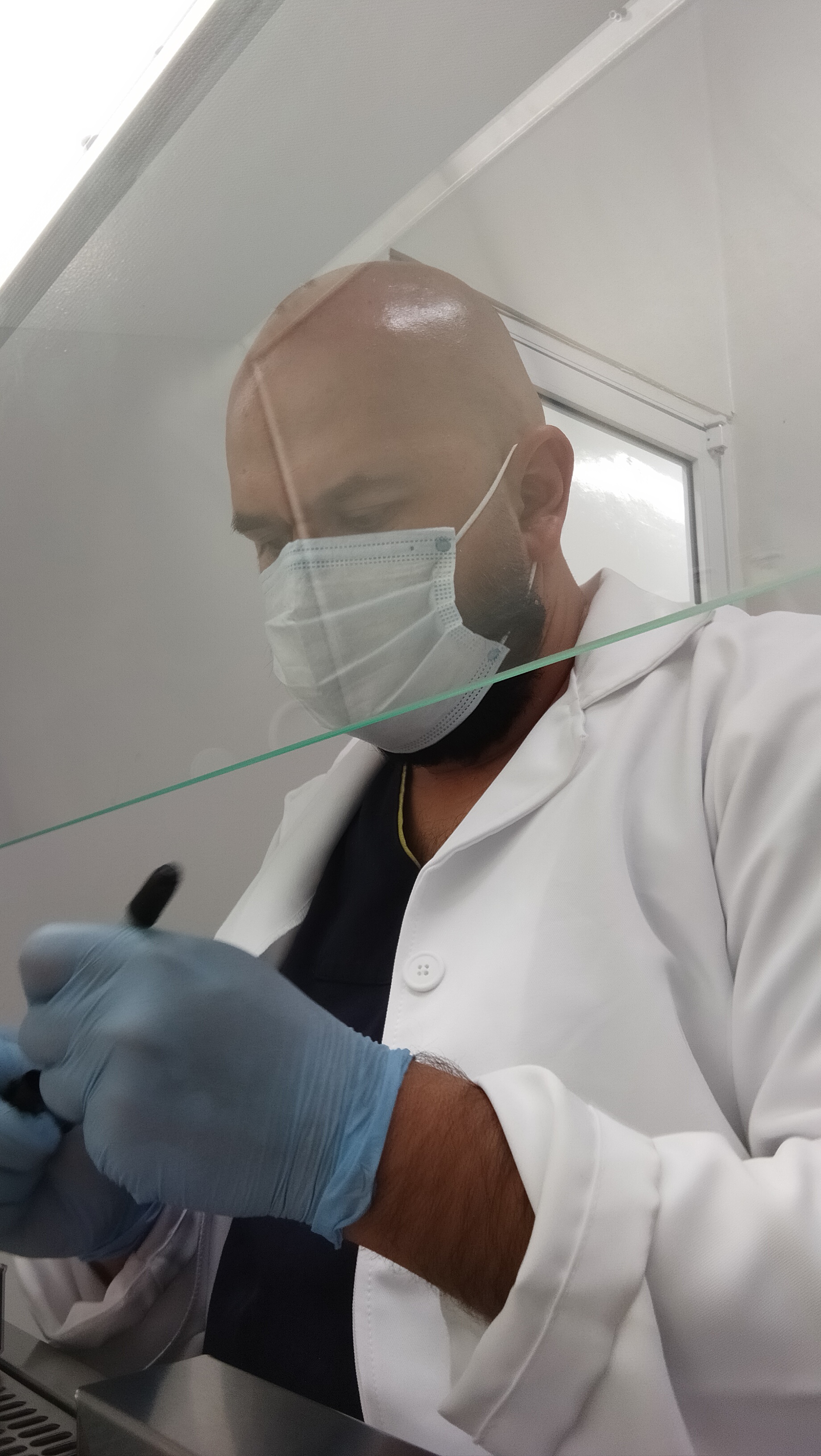 Molecular epidemiology research in swine health