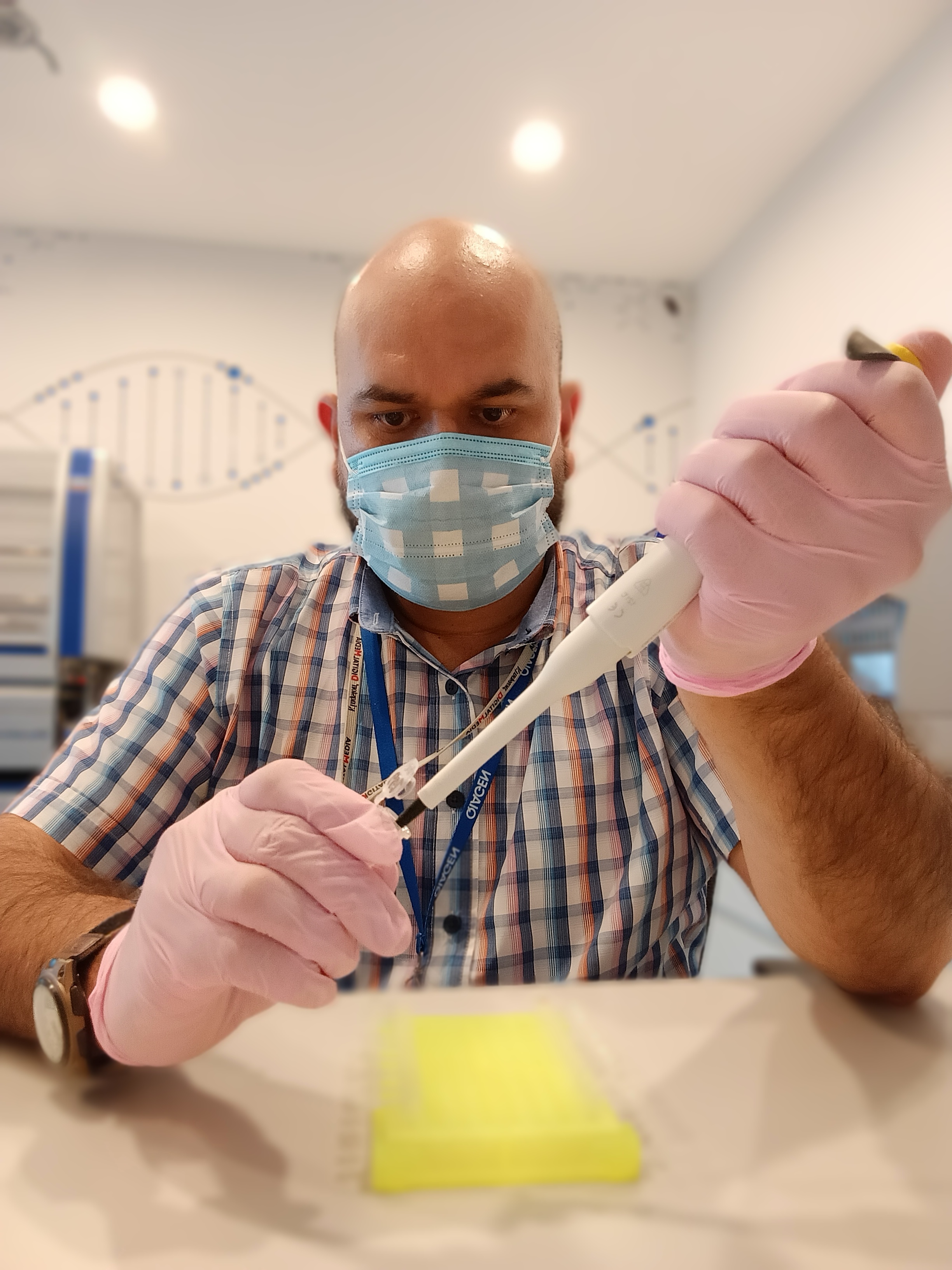 Laboratory analysis for PRRS by digital PCR