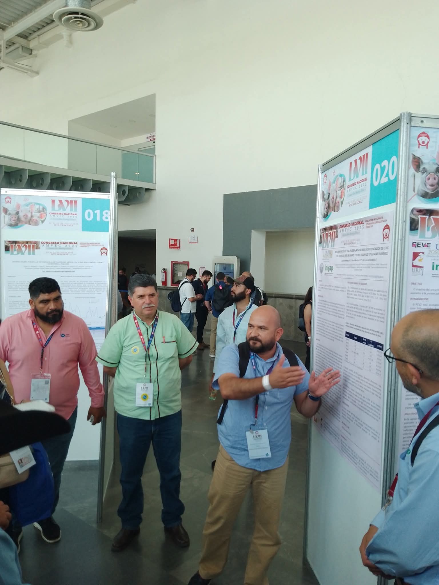 AMVEC Congress Veracruz 2025. Poster presentation on the genetic diversity of Porcine Reproductive and Respiratory Syndrome in Jalisco.