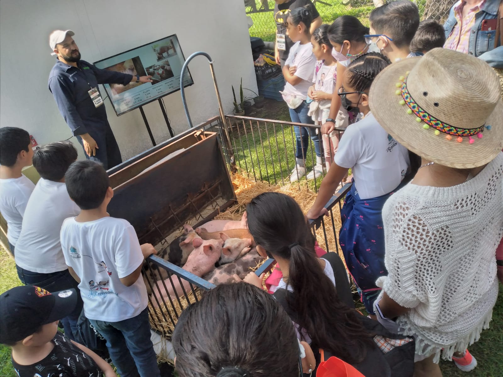 INIFAP outreach demonstration, introducing children to the swine production process for obtaining high-quality pork. Out PRRSV