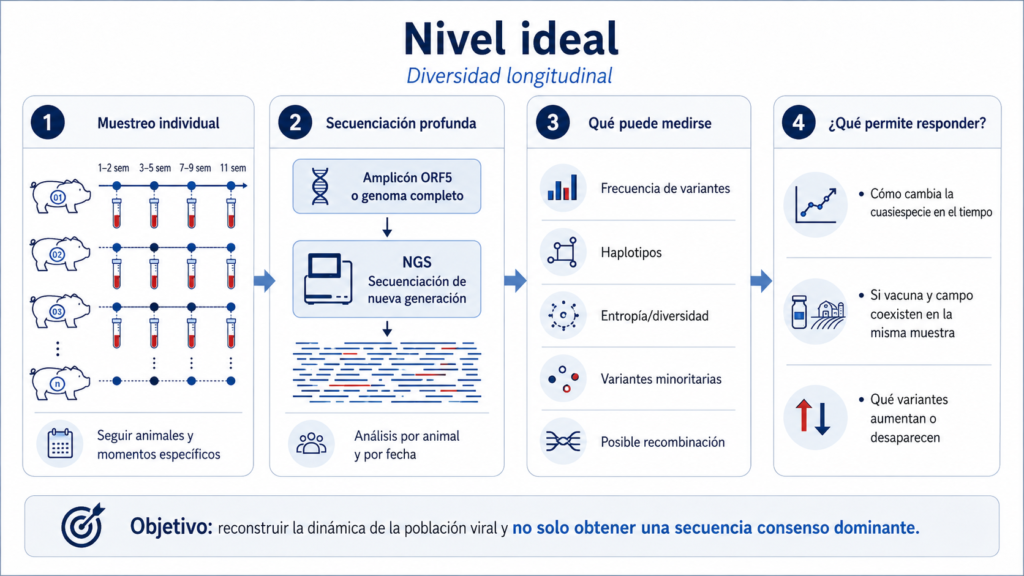Esquema de diversidad de cuasiespecies de PRRSV mediante secuenciación profunda.
